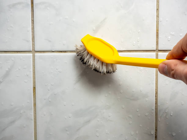 Best Mold Remediation for Schools in Southlake, TX