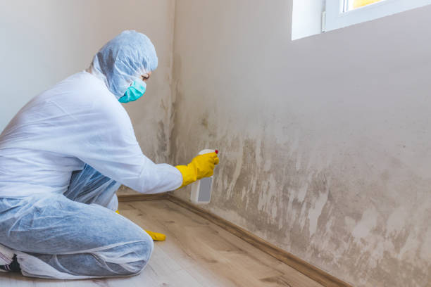 Best Post-Flood Mold Remediation in Southlake, TX
