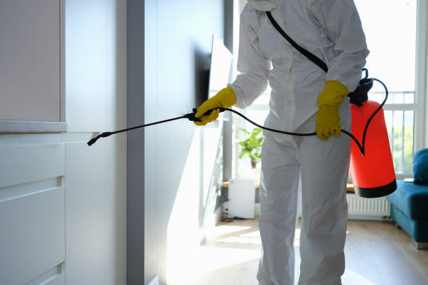 Best Black Mold Remediation in Southlake, TX