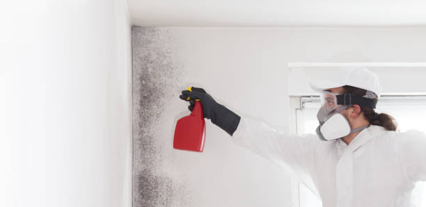 Best Emergency Mold Remediation in Southlake, TX